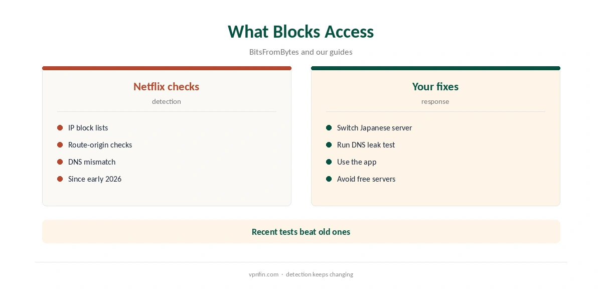 Japanese Netflix VPN: what tends to block access