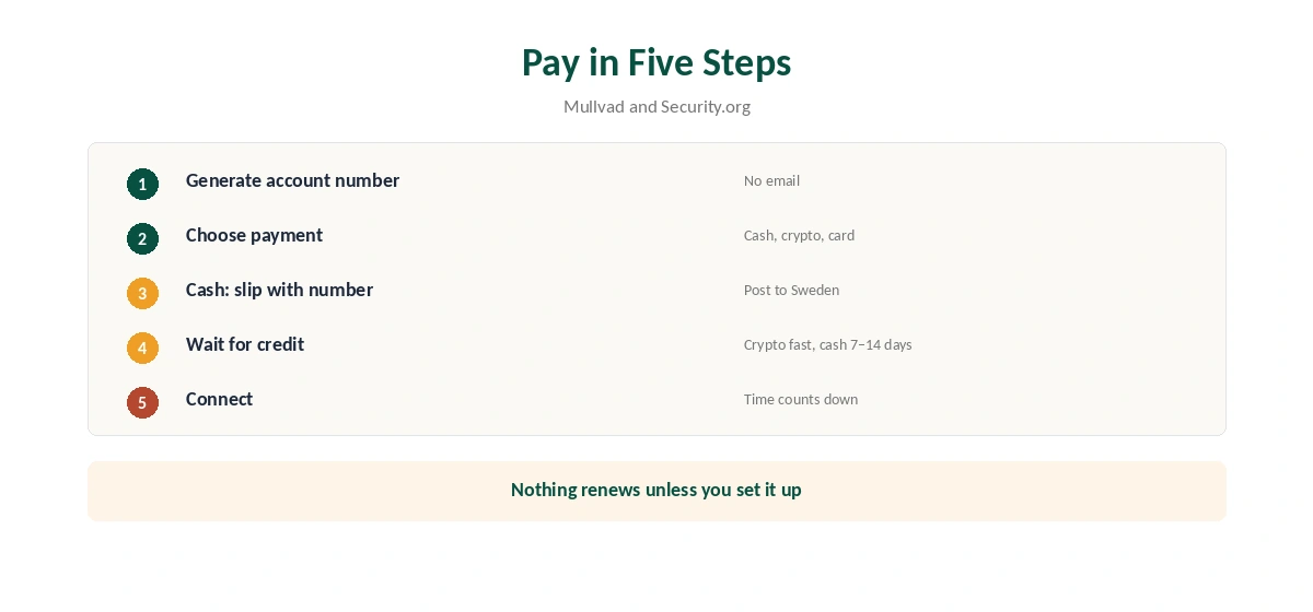 Mullvad cost: paying in five steps, including cash by post